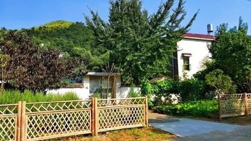 走進蕪湖美麗鄉村 田園風光中的生活垃圾治理新畫卷